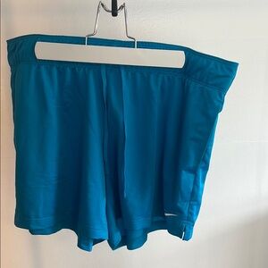 Nike Blue and White Athletic Shorts Lightweight Performance